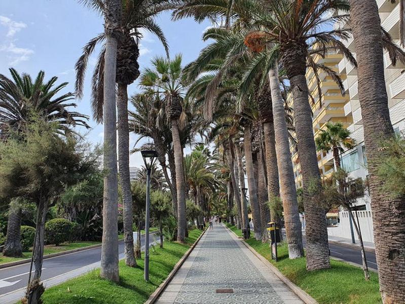 Апартаменти Apartamento Renovado, Frente A La Playa, Con Garaje Пуерто-де-ла-Крус Екстер'єр фото